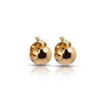 Rosette Bracelet & Sovereign Earrings 4