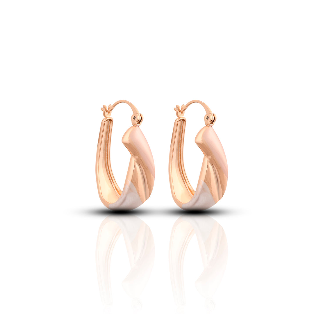 Ringloop Earrings